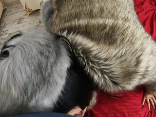 Masturbating While Wearing Fur Coat and Shiny High Heels 205