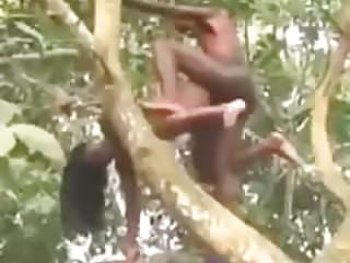 sex position on tree