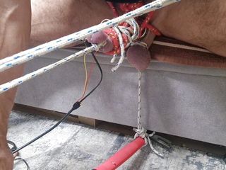 Penie Estim Ii